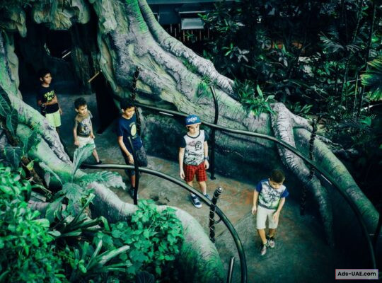 Discover the Wonders of The Green Planet in Dubai – An Immersive Rainforest Expe