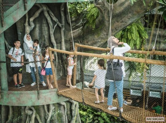 Discover the Wonders of The Green Planet in Dubai – An Immersive Rainforest Expe