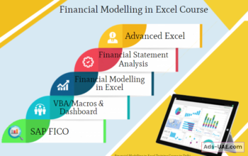 Financial Modeling Training Course in Delhi,110097. Best Online Live Financial