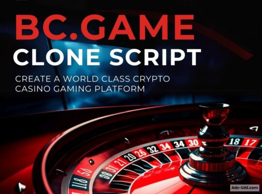 Bc.game clone script – The fastest way to build a BC.Game-like casino Platform