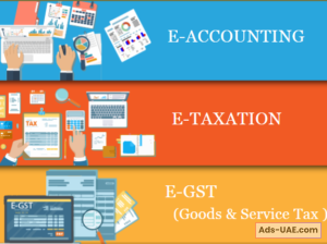 Job Oriented E-Accounting Course in Delhi, SLA 110025,