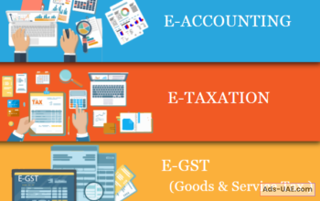 Job Oriented E-Accounting Course in Delhi, SLA 110025,