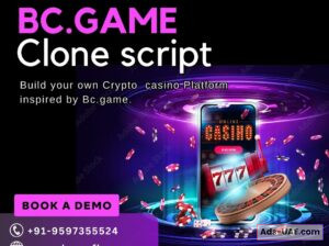 Start Your Crypto Casino Business with Minimal Investment – BC.Game Clone Script