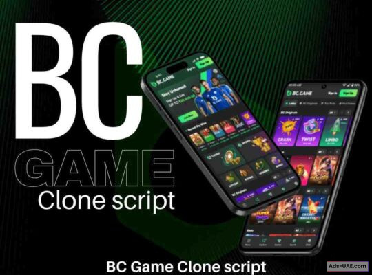 Want To Build A Crypto Casino Like BC Game? BeleafTechnologies Has Got You Cover