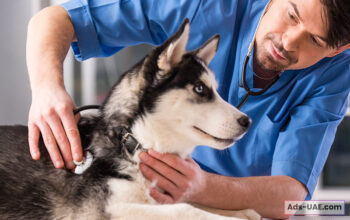 AL FALAH VETERINARY CLINIC – BEST VET CARE PACKAGE