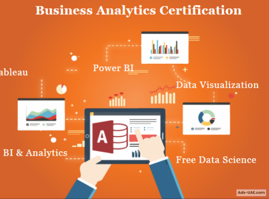 Top Business Analytics Training center in Delhi NCR, Excel, VBA, SQL, Power BI,