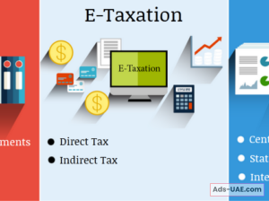 How an Accounting Course Can Secure Your Job in the Evolving 2025 Market,